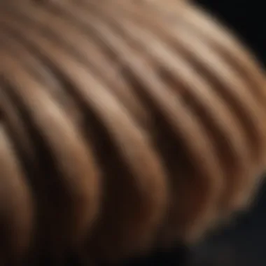 Unique Texture of Artis Brush Bristles Close-up of Artis brush bristles highlighting their unique texture