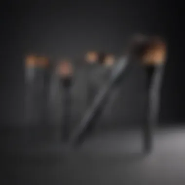 Innovative Design of Artis Brushes Artis brush showcasing its innovative design and structure