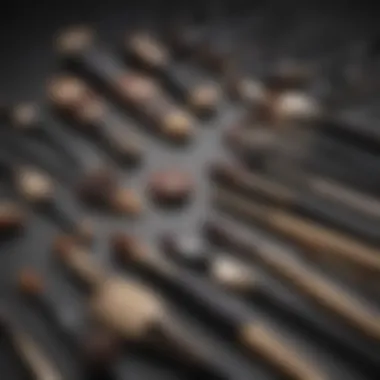 Diverse Shapes and Sizes of Artis Brushes Artis brushes arranged to demonstrate their various shapes and sizes