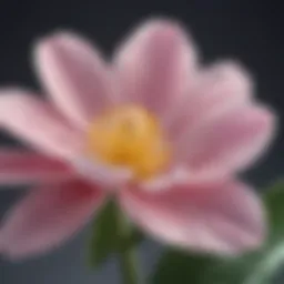 A serene close-up of a delicate flower petal symbolizing sensitivity.