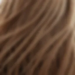 Close-up of fine hair strands showcasing texture and volume