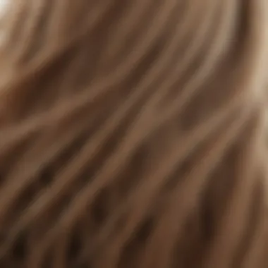 Fine Hair Texture Insight Close-up of fine hair strands showcasing texture and volume