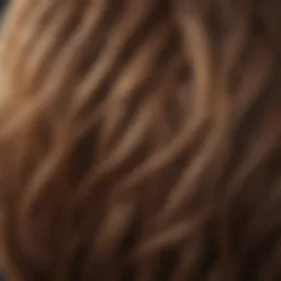 Close-up of diverse hair textures
