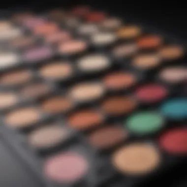 A vibrant palette of makeup products