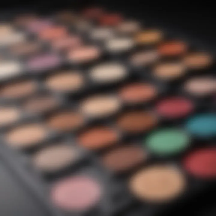 A vibrant palette of makeup products