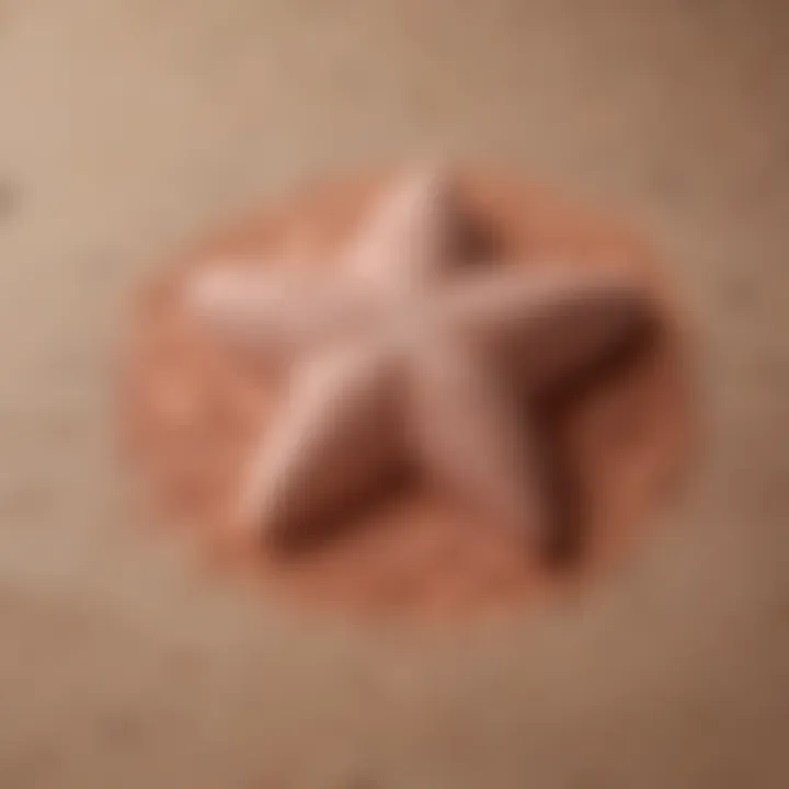 Texture of Patrick Star One Size Setting Powder on skin