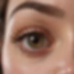 Essential components of a drugstore eye primer