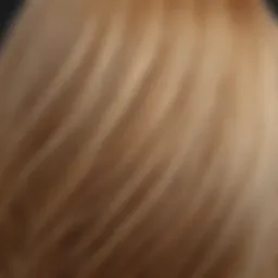 Close-up of healthy, shiny hair showcasing Gussi treatment results