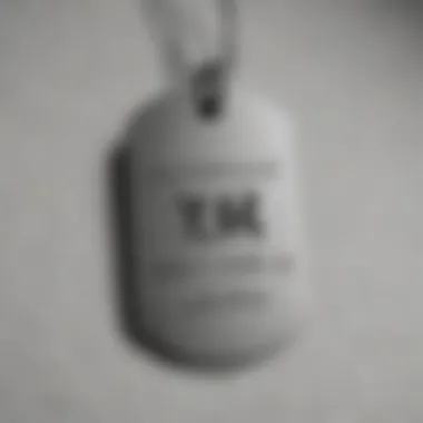 A personalized dog tag with a unique design