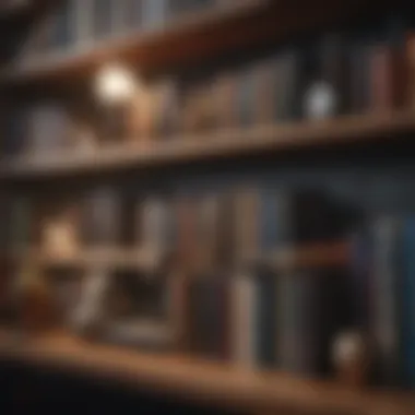 Diverse Genres for Connection An intimate bookshelf filled with diverse book genres