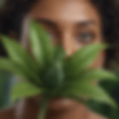 A vibrant green plant symbolizing natural beauty and care