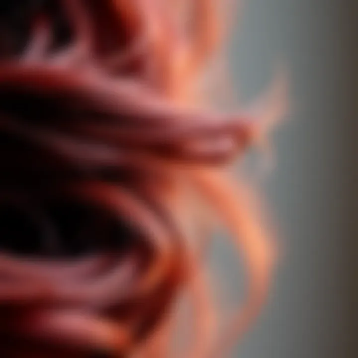 A close-up of textured hair showcasing a rich, vibrant dye