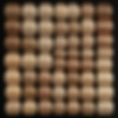 Blonde Hair Color Palette A diverse range of blonde hair shades displayed on a color palette