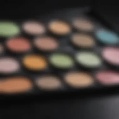 A palette of color correctors for makeup application