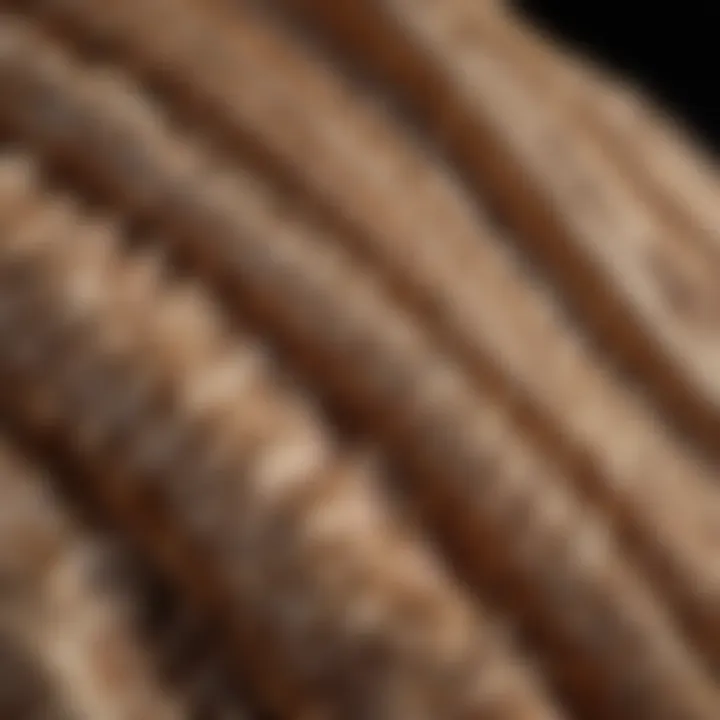 Close-up of luxurious fabric textures used in jacket design, highlighting sustainability.