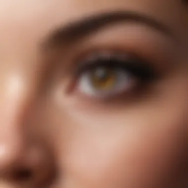 Comparison chart of popular liquid magnetic eyelash brands