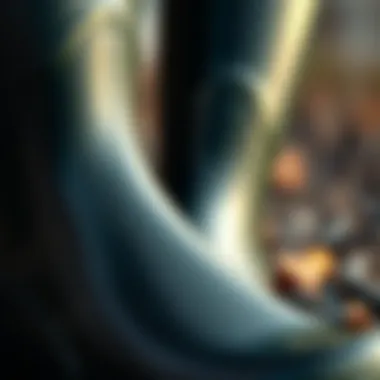 High-Quality Rubber Material Close-up of high-quality rubber material used in rain boots