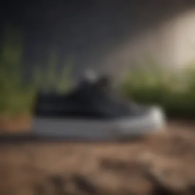 A stylish pair of black sneakers against a natural backdrop