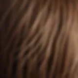 A close-up of a healthy hair strand showing its thickness and shine.
