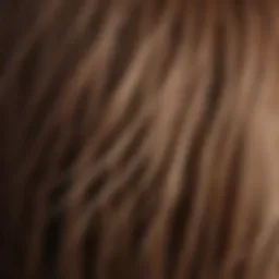 A close-up of a healthy hair strand showing its thickness and shine.