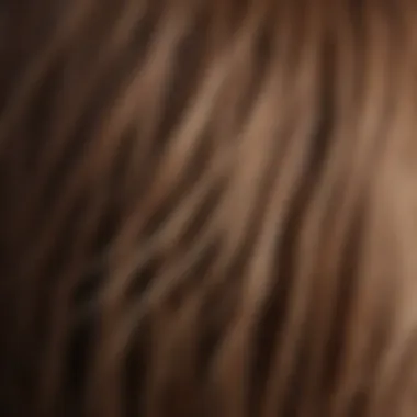 A close-up of a healthy hair strand showing its thickness and shine.