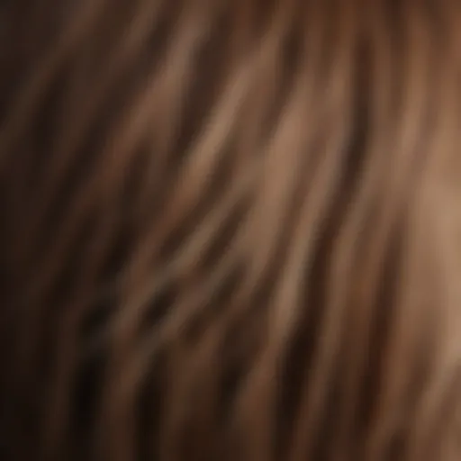 A close-up of a healthy hair strand showing its thickness and shine.