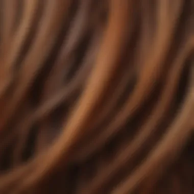 Close-up of hair strands showcasing color retention