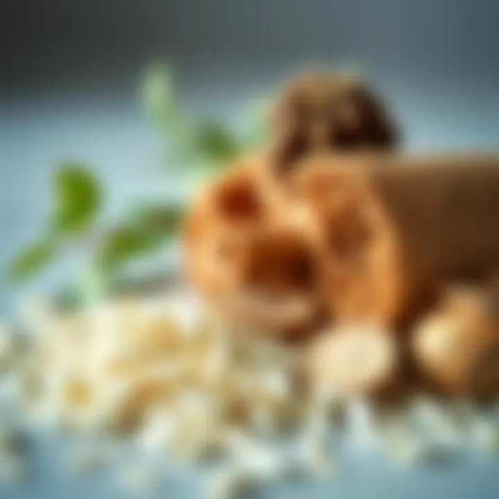 Close-up of natural ingredients