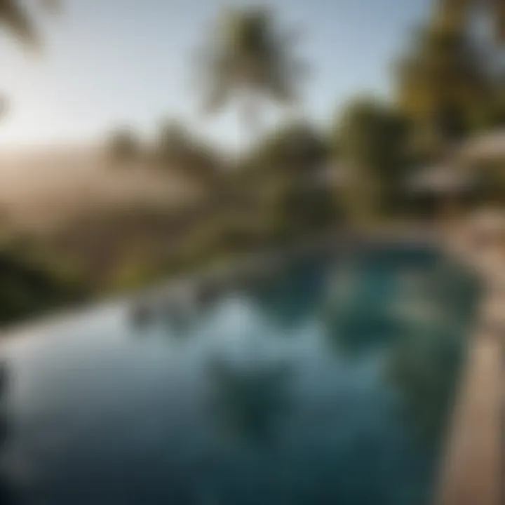 An inviting infinity pool surrounded by palm trees at a Rincon resort