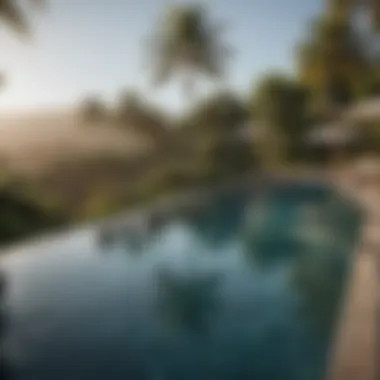 Inviting Infinity Pool in Rincon An inviting infinity pool surrounded by palm trees at a Rincon resort