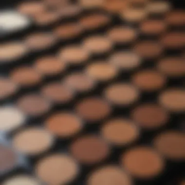 A palette showcasing various bronzer shades for diverse skin tones