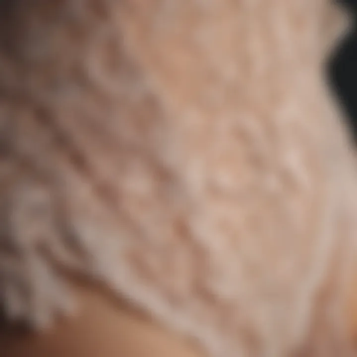 Close-up of intricate lingerie details showcasing craftsmanship