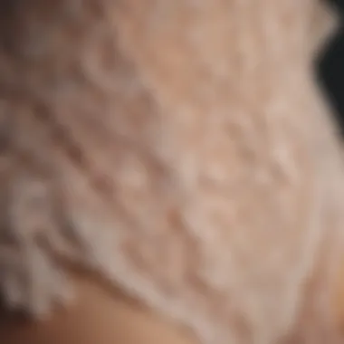 The Art of Craftsmanship in Lingerie Close-up of intricate lingerie details showcasing craftsmanship