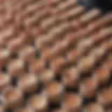 A close-up view of a variety of non-crease concealers laid out on a vanity.