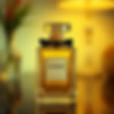 Exploring the Best Replica Perfume Scents Summary