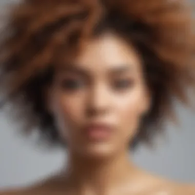 Diverse hair textures on display