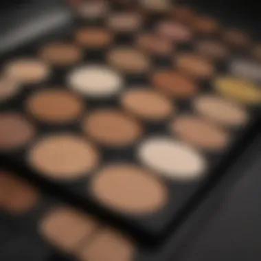 Foundation Palette for Oily Skin A close-up of a makeup palette showcasing a variety of foundation shades suitable for oily skin.