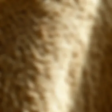 Close-up of lambskin texture showcasing its softness