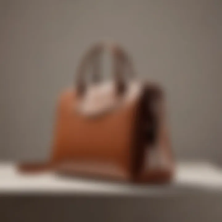 Elegant Longchamp laptop bag displayed against a minimalist backdrop