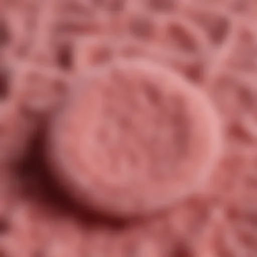 A close-up view of a makeup eraser cloth showcasing its texture and effectiveness.