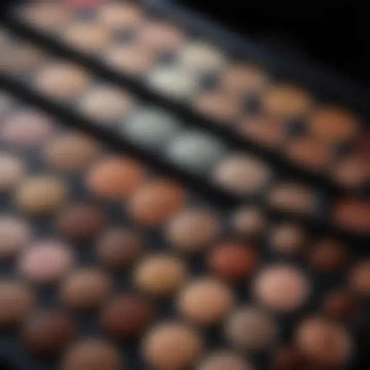 A close-up of diverse makeup shades on a palette