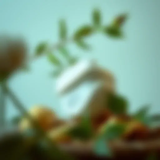 The Power of Nature: Ingredients for Exfoliation Natural ingredients for skin exfoliation