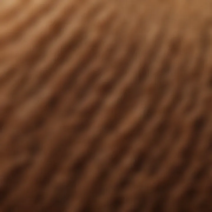 Close-up of hair strands showing frizz and texture