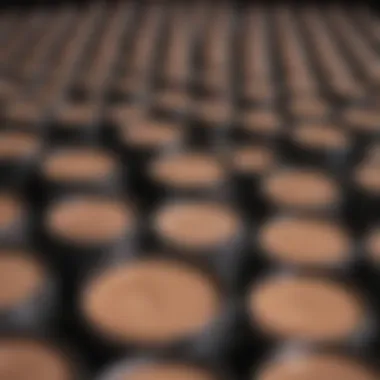 A close-up of various undereye concealer tubes arranged artfully.