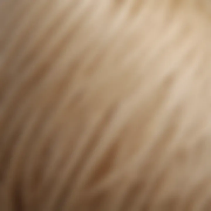 Close-up of hair texture showing the effects of bleach and potential damage.