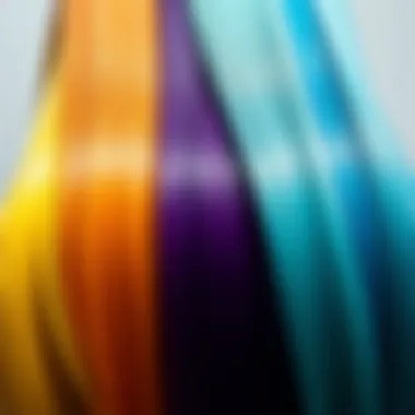 A palette showcasing a spectrum of hair colors.