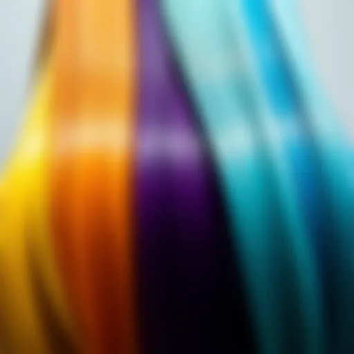 A palette showcasing a spectrum of hair colors.