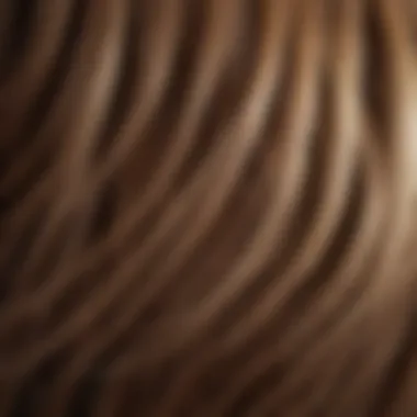 Close-up of healthy hair strands glistening under light