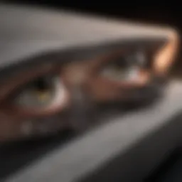 Diverse types of false lashes displayed on a stylish background