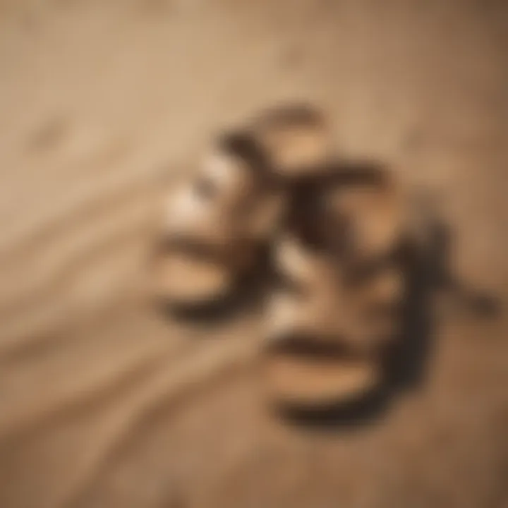 Trendy sandals displayed on a sandy beach
